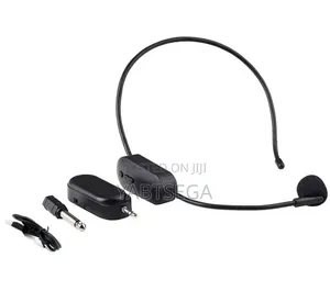 Photo - Wireless Microphone