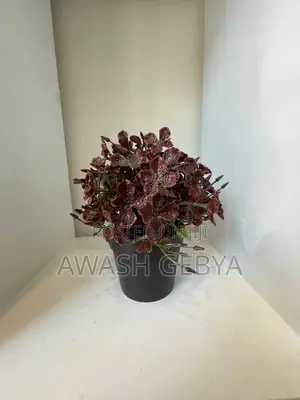 Artificial Flower Plants