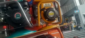 Photo - Vibrator Within Hose