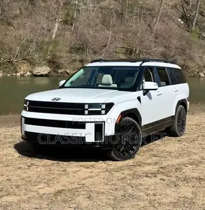 Photo - New Hyundai Santa Fe Calligraphy 2024 White