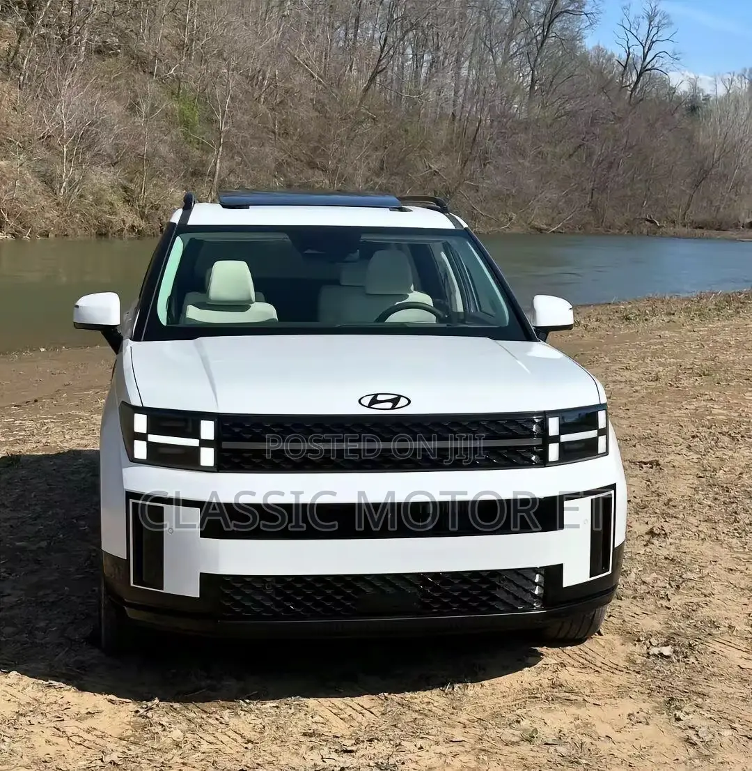 New Hyundai Santa Fe Calligraphy 2024 White