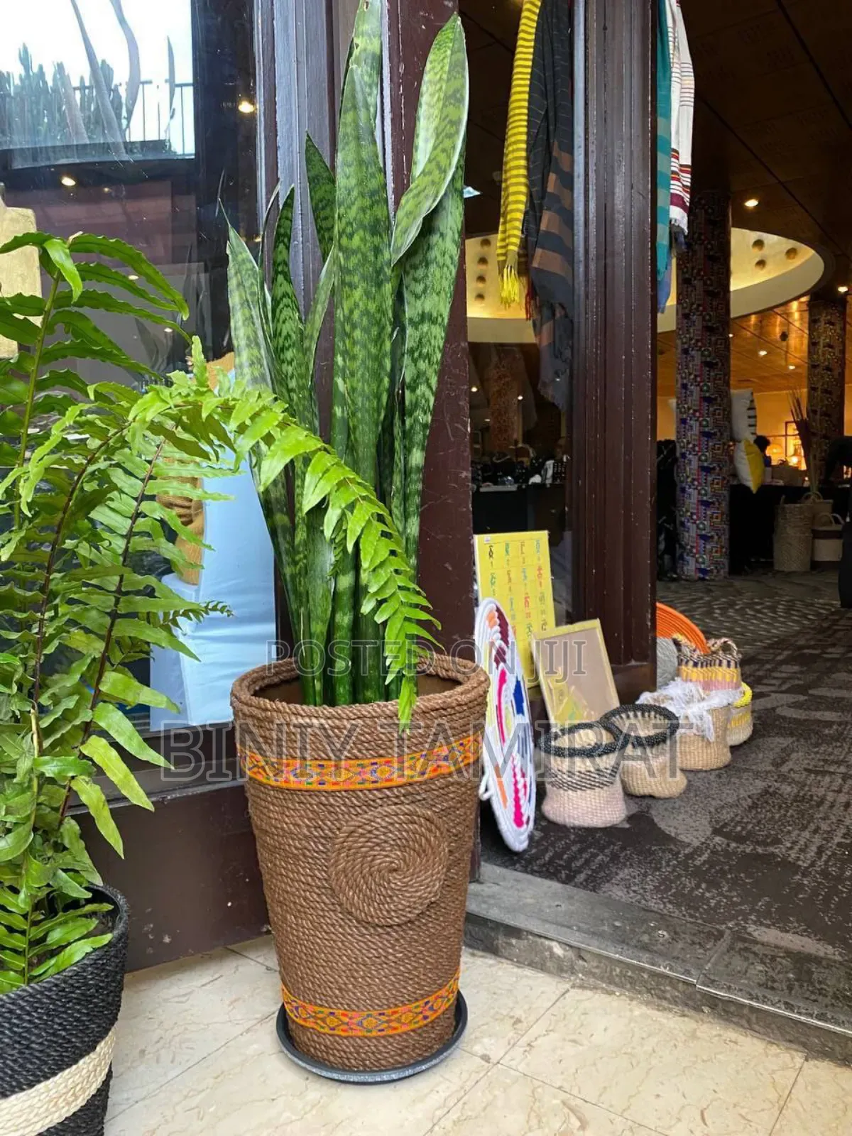 Plant and Pot Custom Made