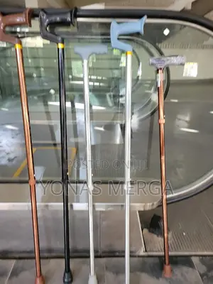 Photo - Walking Canes Are Used to Relieve Weight When Walking/Hiking