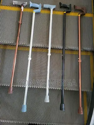 Photo - Mobility Product Includes:1 X Walking Stick