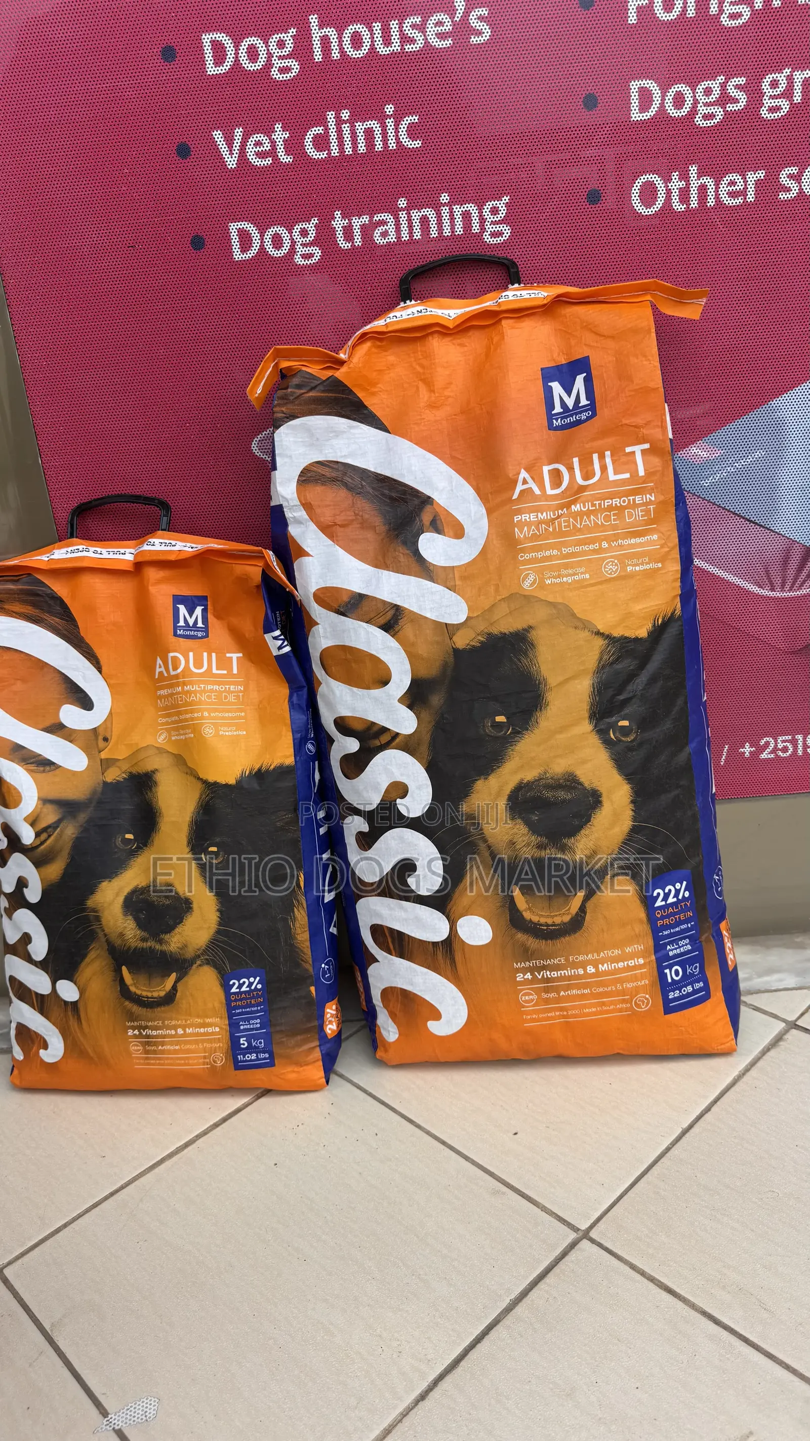 Montego Classic Small Breed Adult Dry