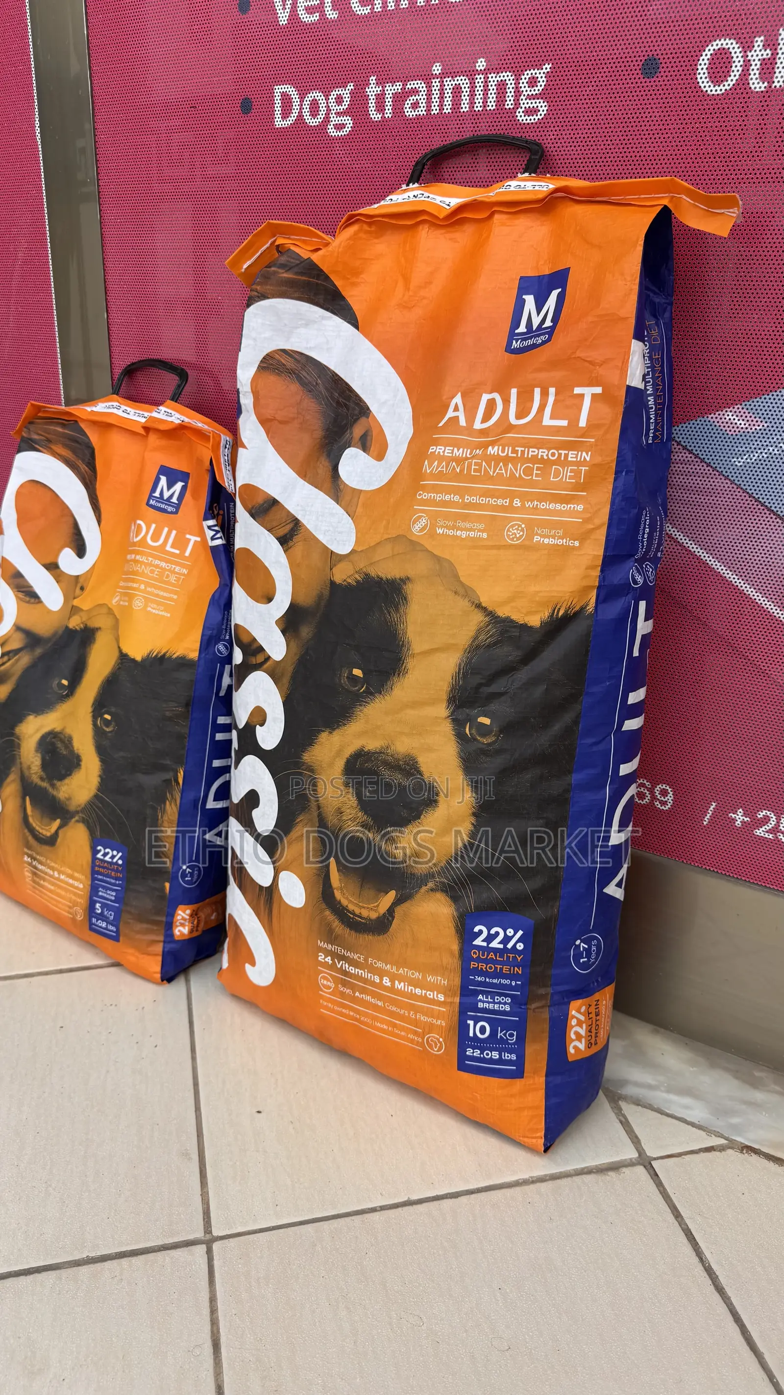 Montego Classic Small Breed Adult Dry