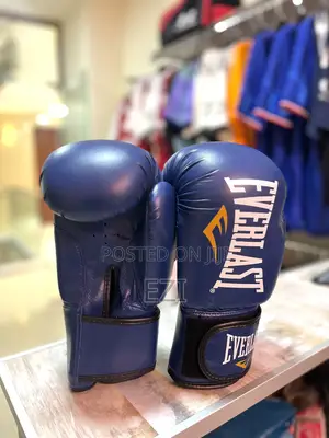 Photo - Everlast Boxing Gloves