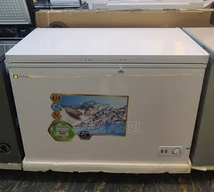 Photo - Everst 330 Li Chest Freezer