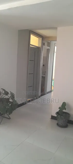 Furnished 3bdrm Condo in 20/80 ኮንዶሚንየም, Akaky Kaliti for sale