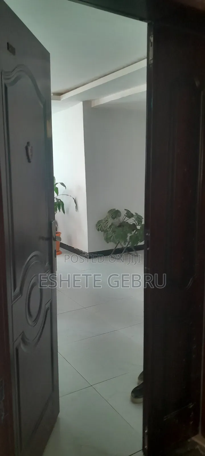 Furnished 3bdrm Condo in 20/80 ኮንዶሚንየም, Akaky Kaliti for sale