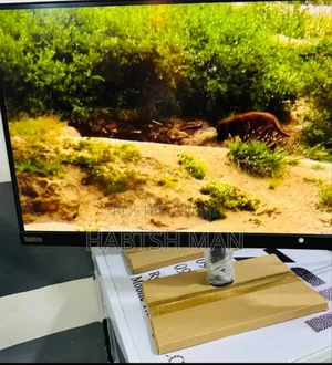 Photo - Lenovo Monitor