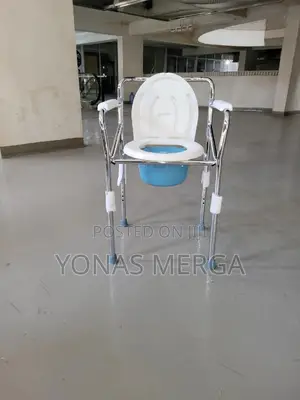 Removed for Cleaning Toilet Chairظ文 2 in 1 Toileting Needs