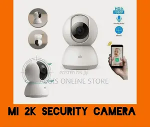 Surveillance Camera
