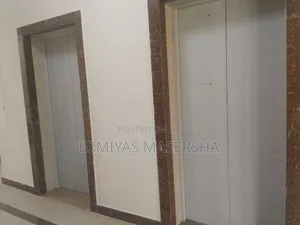 Furnished 3bdrm Apartment in Bole for sale