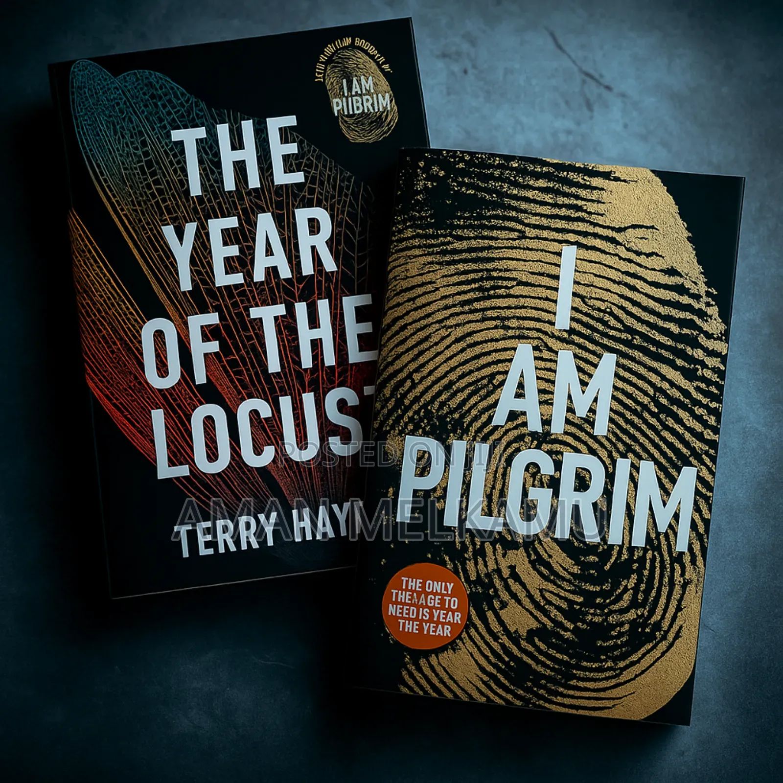 I Am Pilgrim and the Year of the Locust