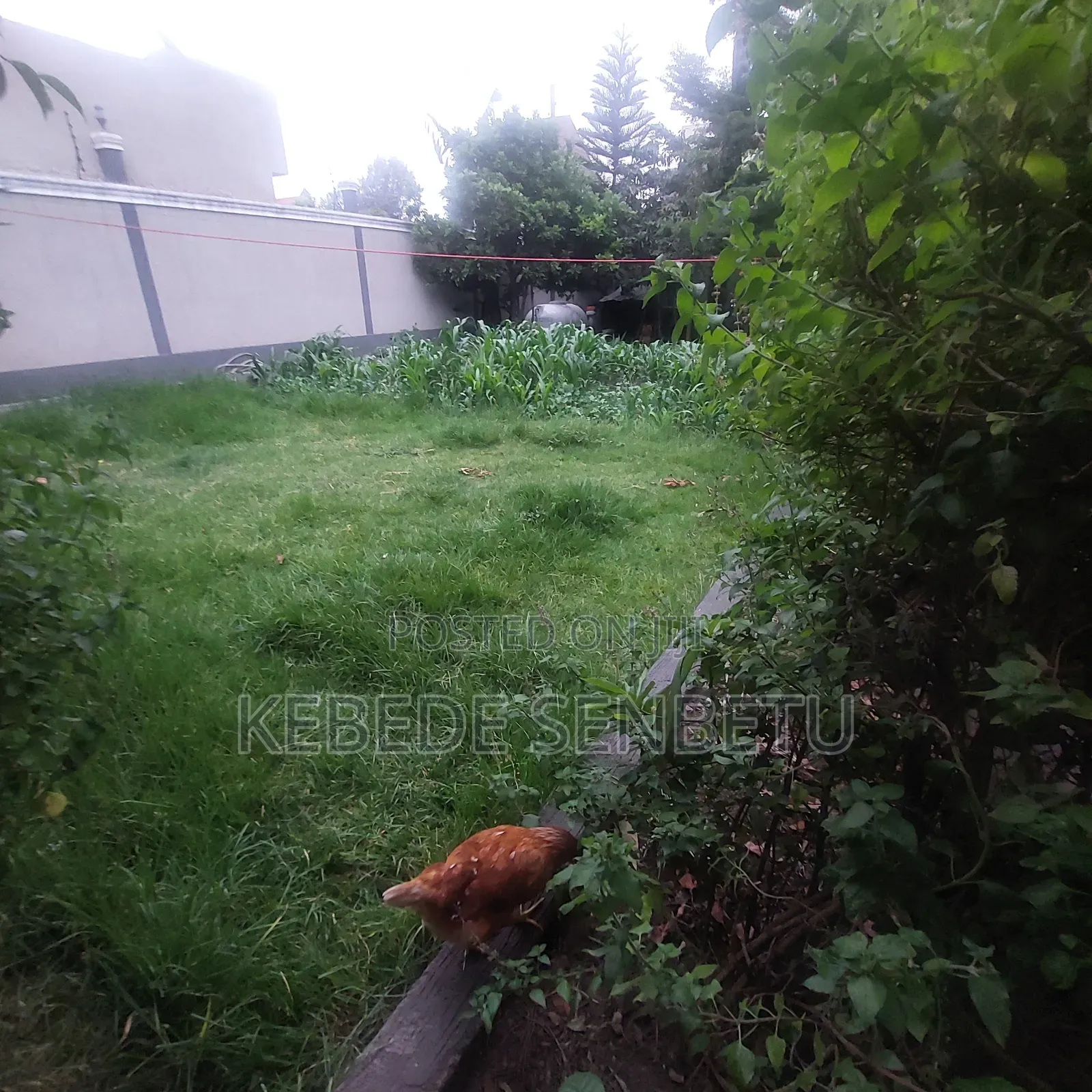 Furnished 2bdrm House in Oromia, East Shewa for rent