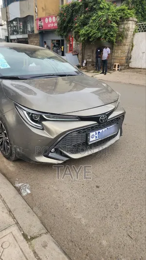 Toyota Corolla 2020 Gray