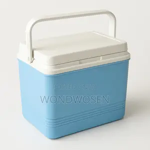 Photo - Ice Box (40liter)