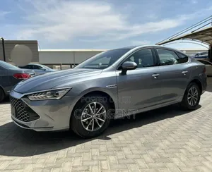 BYD Qin Plus DM-i 2025 Gray