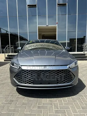 Photo - BYD Qin Plus DM-i 2025 Gray