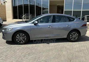 BYD Qin Plus DM-i 2025 Gray