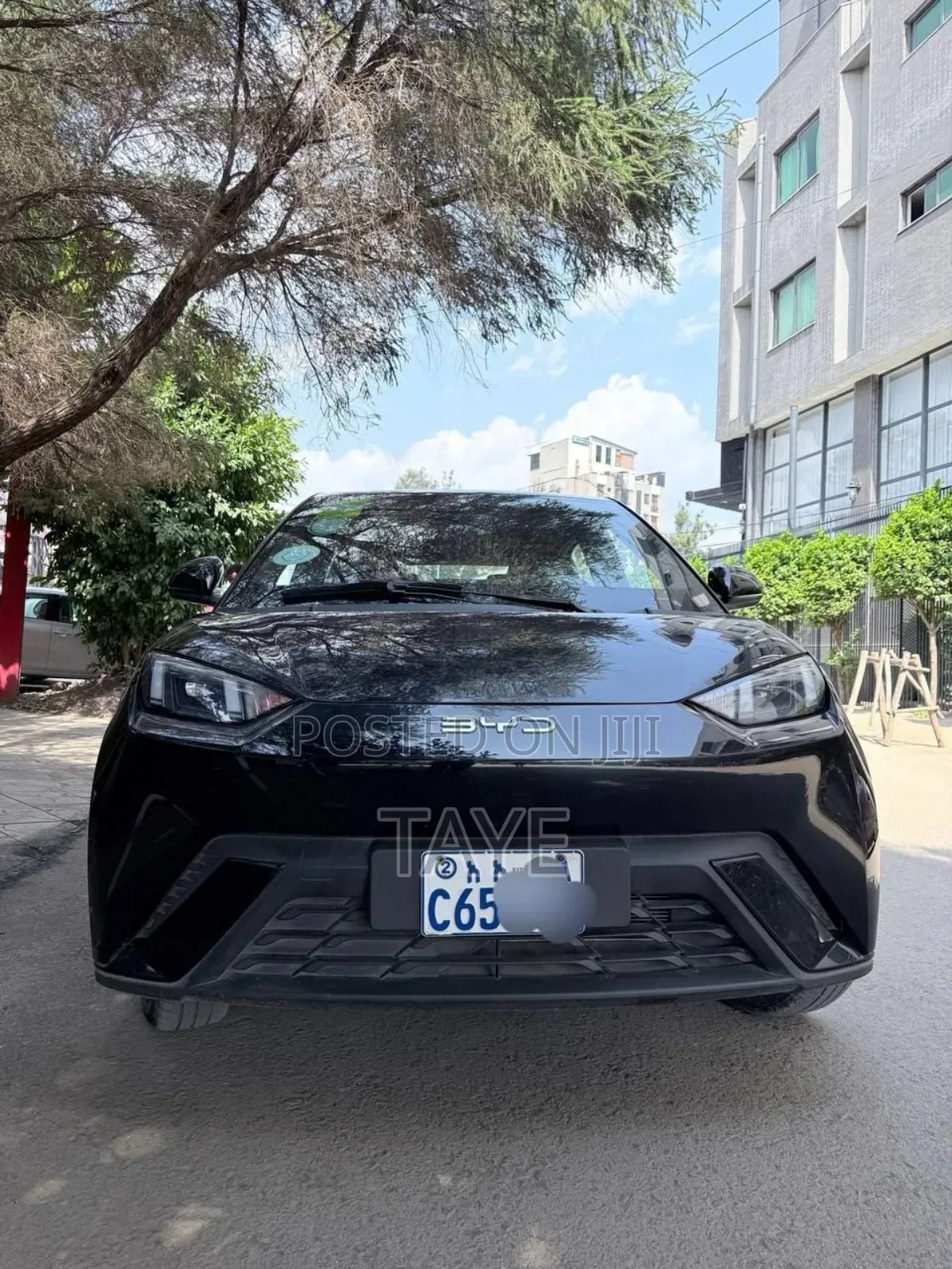 BYD Seagull 2024 Black