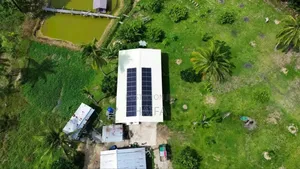 በፀሀይ ብርሀን የበለጠ ያብሩ