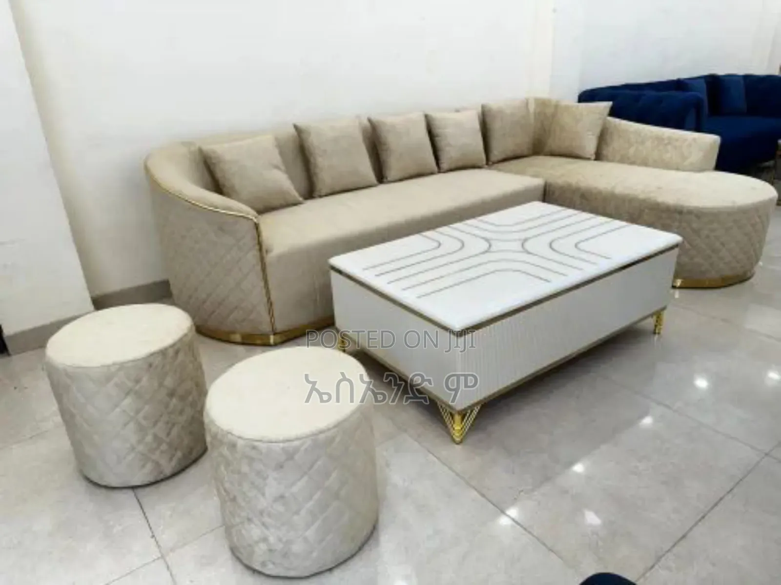 Lavish Lounge Sofa Design