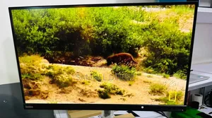 Lenovo Frameless Monitor