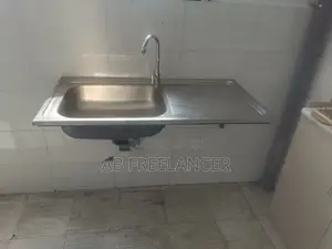 Acqua Kitchen Sink With Accessories and Wall Mounting Frame