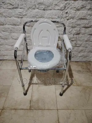 Toilet Seat Potty Removable Backم焉lumex Drop Arm