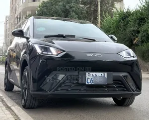 BYD Seagull 2024 Black