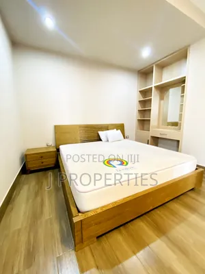 Furnished 3bdrm Apartment in Bole for rent