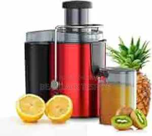 Cold Press Vertical Multifunction Juice Extractor: