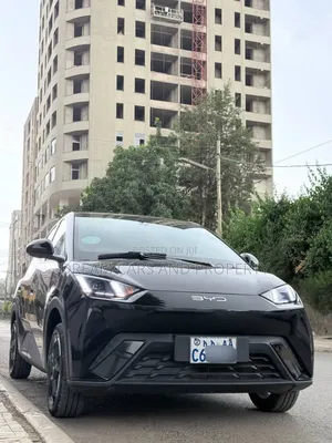 BYD Seagull 38 kWh FWD 2024 Black