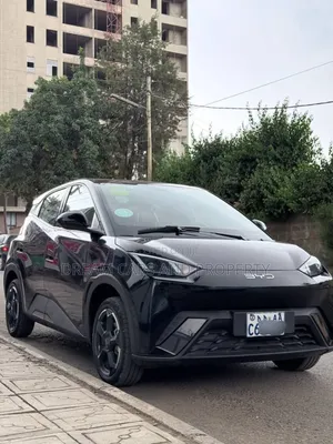 BYD Seagull 38 kWh FWD 2024 Black