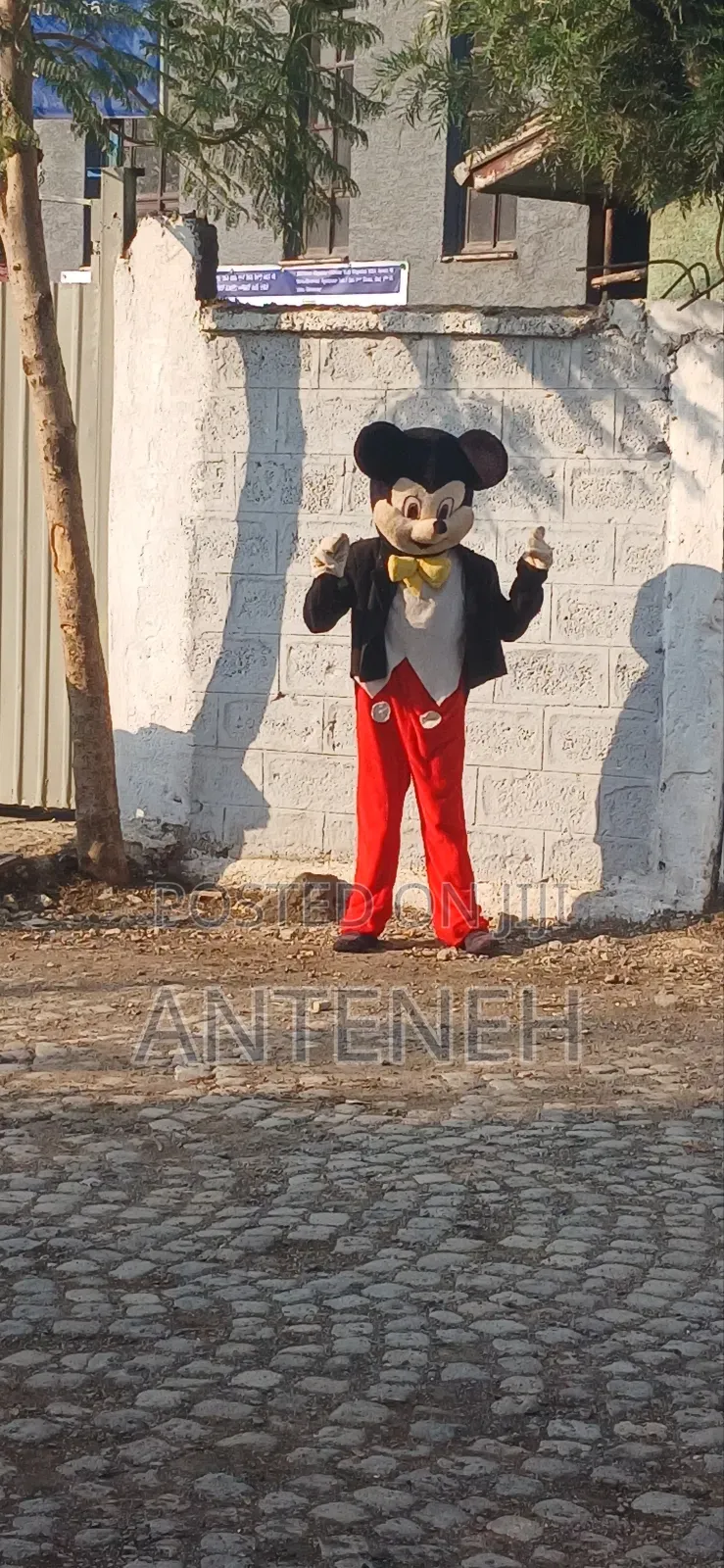 Event for Kids and Organazation