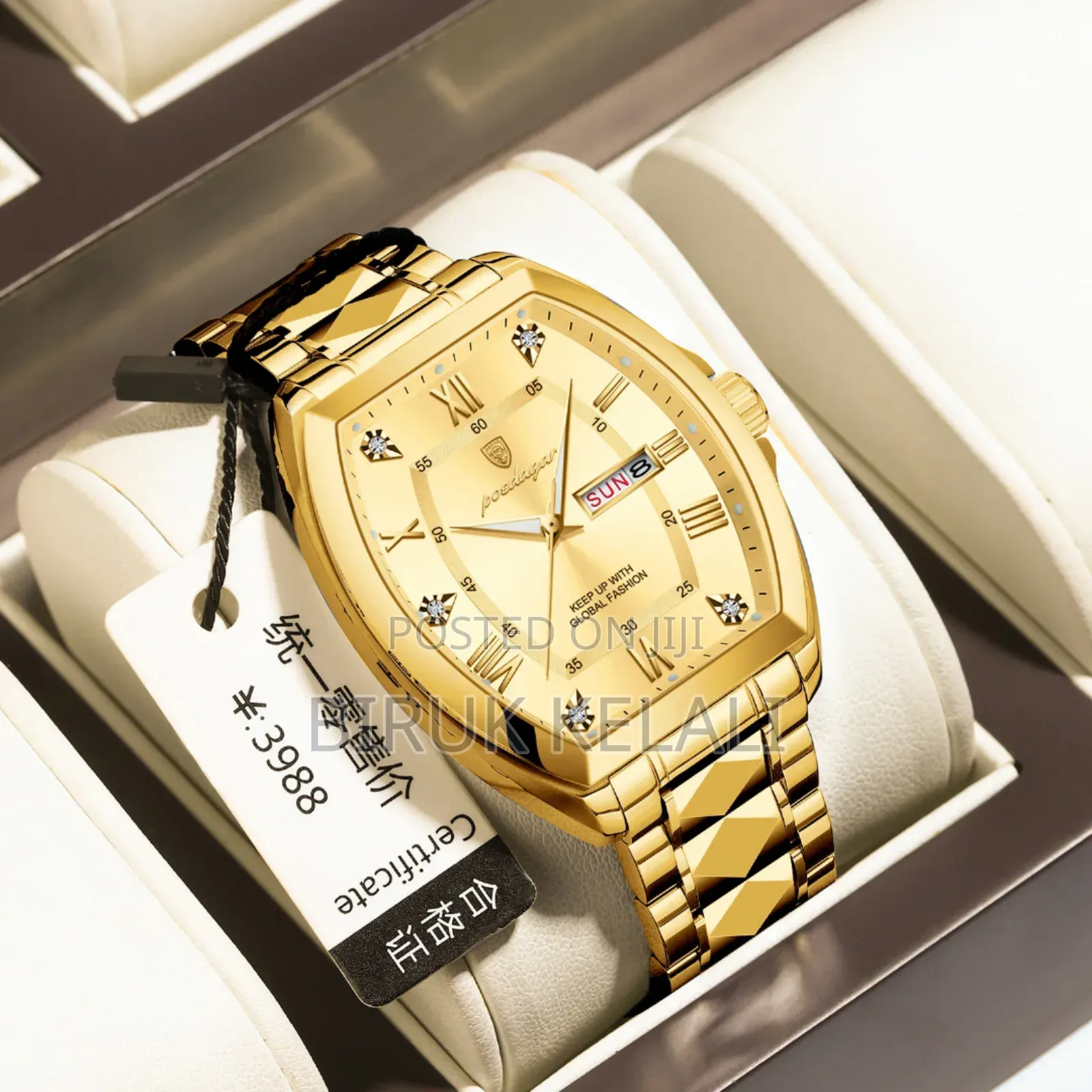 Poedigar Men's Luxury Watch