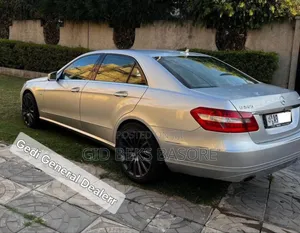 Mercedes-Benz E250 SV Premium 2014 Silver