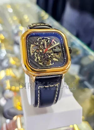 Chenxi Automatic Simple Look Watches Jn Mechanical
