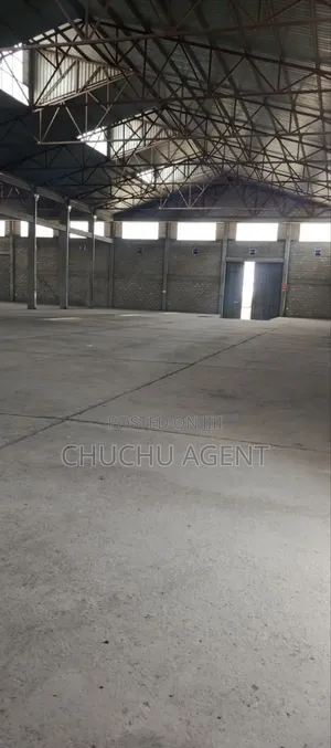 Warehouse Sale መጋዘን ሽያጭ ሃይሌ ጋርመንት