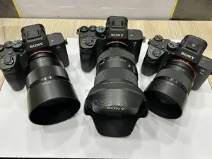 Photo - Sony Alpha 7 Iv , Iii With Sigma 24-70mm F2.8