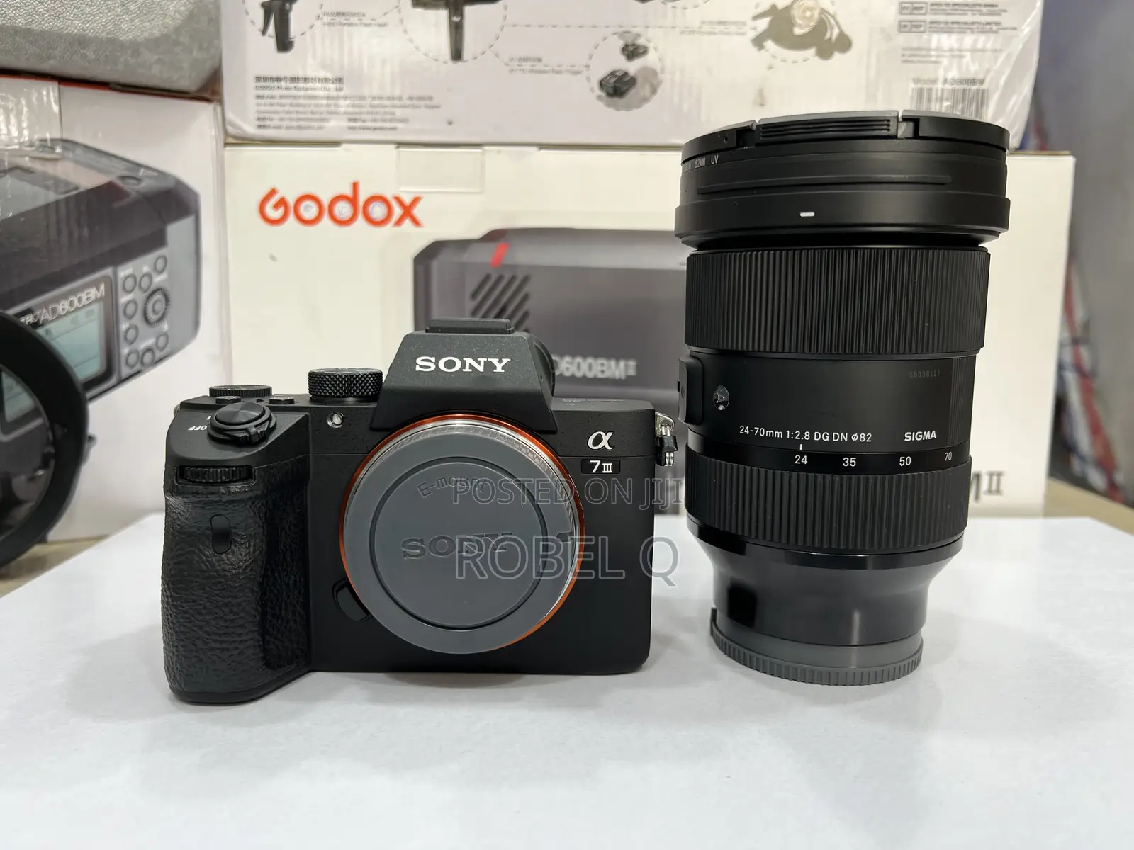 Sony Alpha 7 Iv , Iii With Sigma 24-70mm F2.8