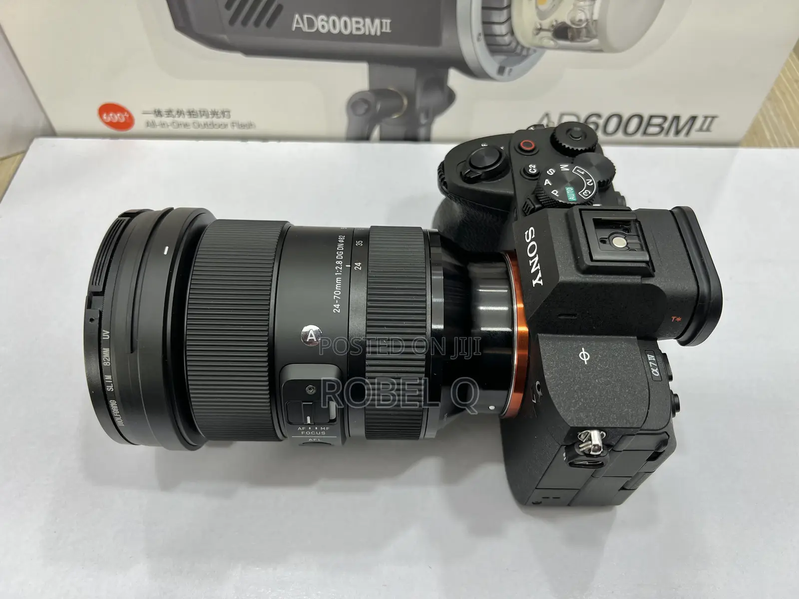 Sony Alpha 7 Iv , Iii With Sigma 24-70mm F2.8