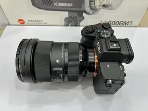 Sony Alpha 7 Iv , Iii With Sigma 24-70mm F2.8