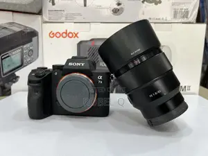 Sony Alpha 7 Iv , Iii With Sigma 24-70mm F2.8