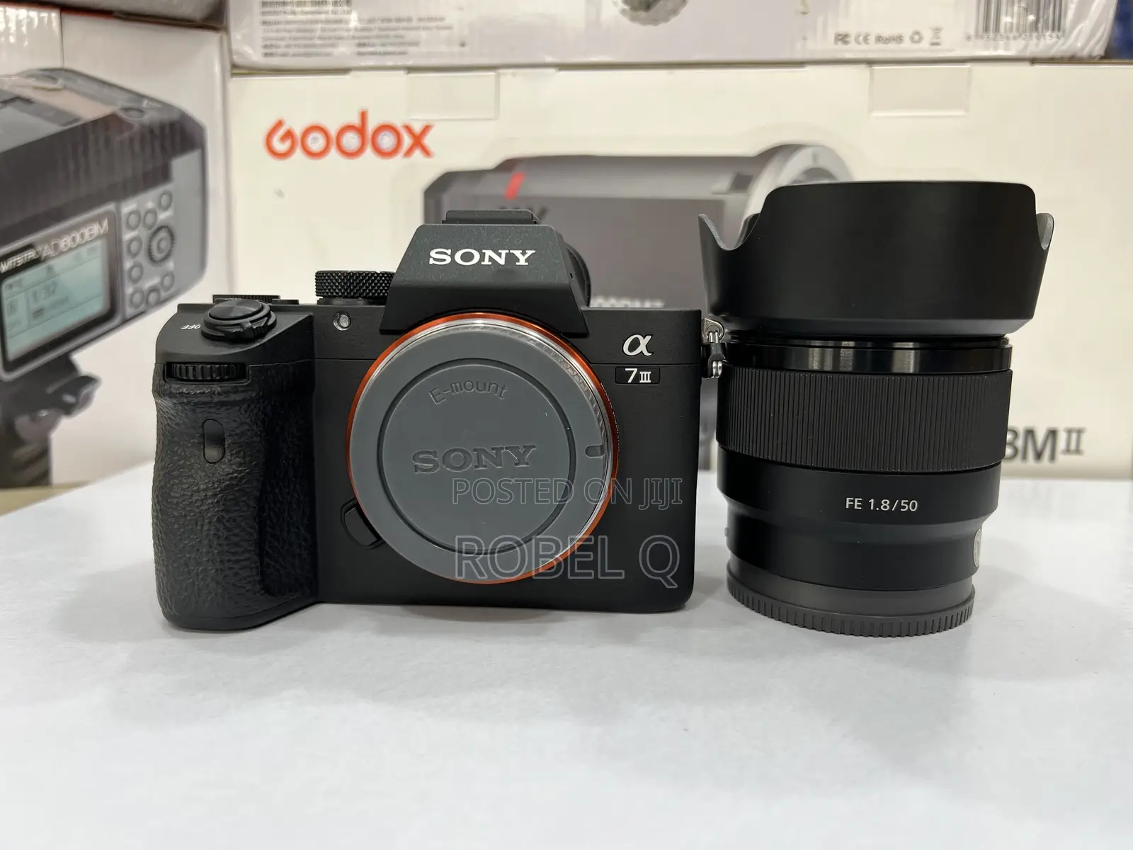 Sony Alpha 7 Iv , Iii With Sigma 24-70mm F2.8
