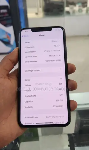 Apple iPhone 11 Pro Max 256 GB Gray