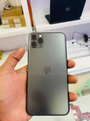 Apple iPhone 11 Pro Max 256 GB Gray