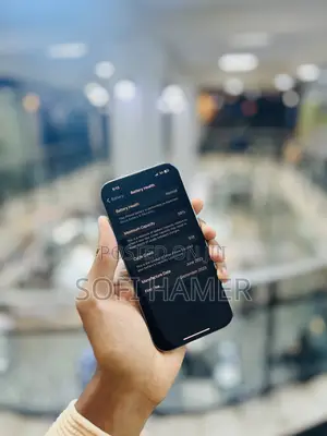 Apple iPhone 15 Pro 256 GB Silver